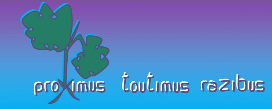 Proximus_toutimus_razibus_31.JPG
