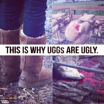 This-is-Why-Uggs-are-Ugly3.jpg